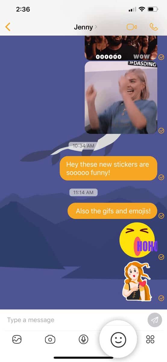 a screenshot of chat with emojis and gifs